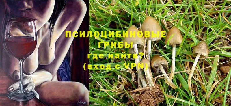 Галлюциногенные грибы Magic Shrooms  Дагестанские Огни 